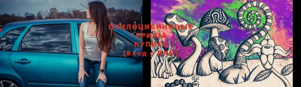 герыч Мегион