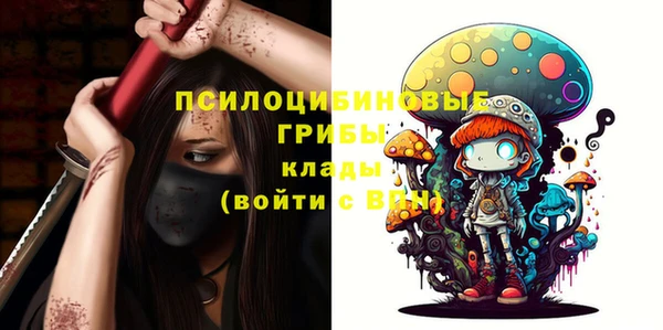 МДПВ Пролетарск