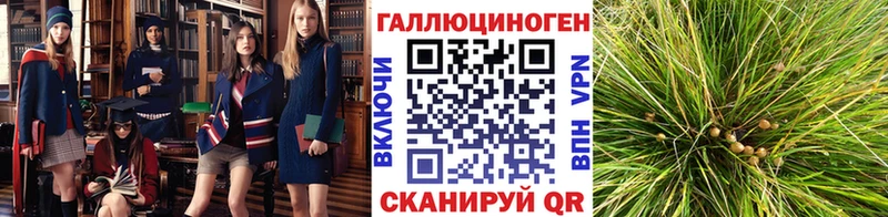 Псилоцибиновые грибы Magic Shrooms shop официальный сайт Бикин