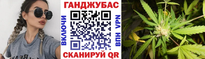 Канабис планчик  цены   Бикин 